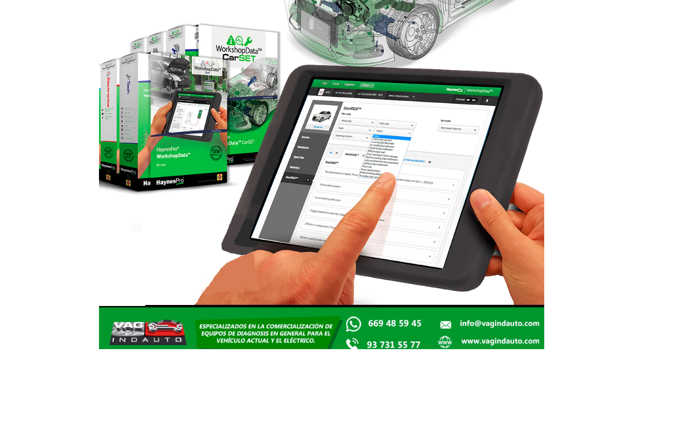 HAYNESPRO WORKSHOPDATA COCHES